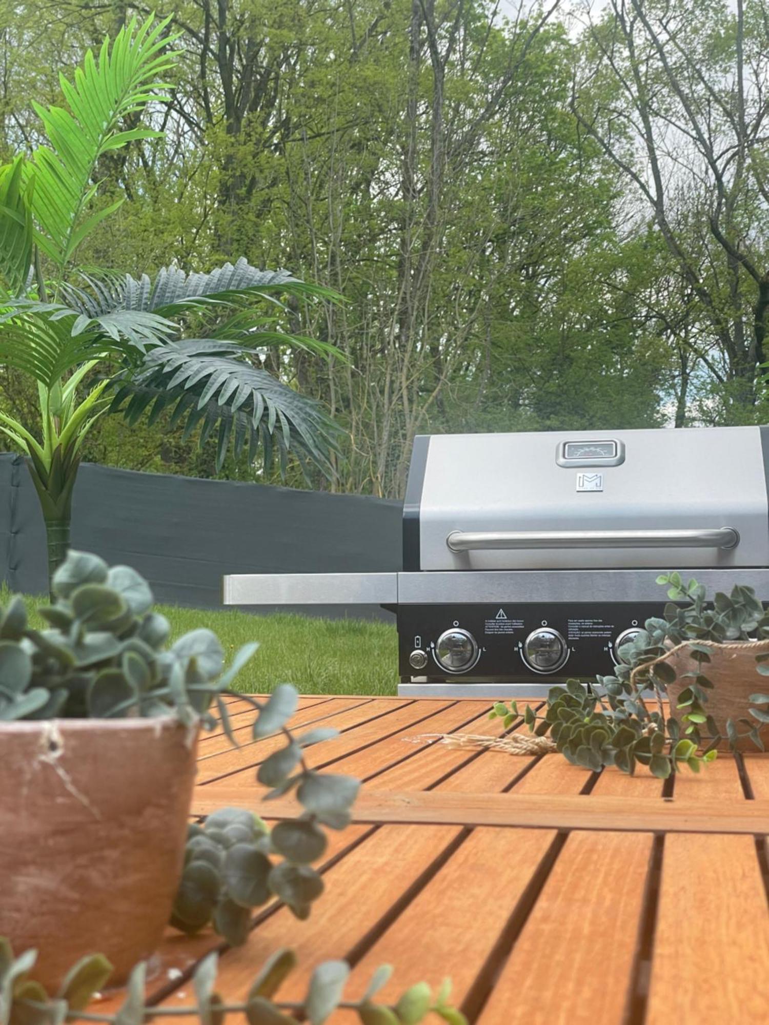 Sinalospa - Culiacan - Appartement Jardin Jacuzzi Sauna A 5 Minutes De Nancy Place Stanislas Champigneulles Exterior photo
